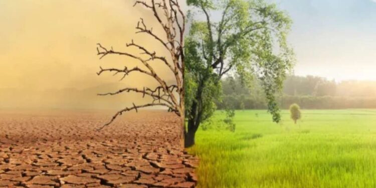 Perubahan Iklim: Tantangan Global dan Solusi Menuju Masa Depan Berkelanjutan 