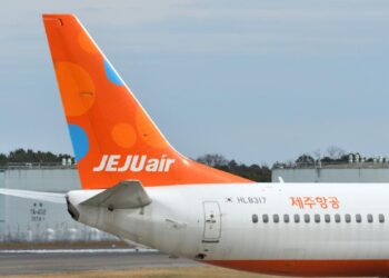 Kecelakaan Pesawat Jeju Air Diduga Akibat Bird Strike, Apakah Itu?