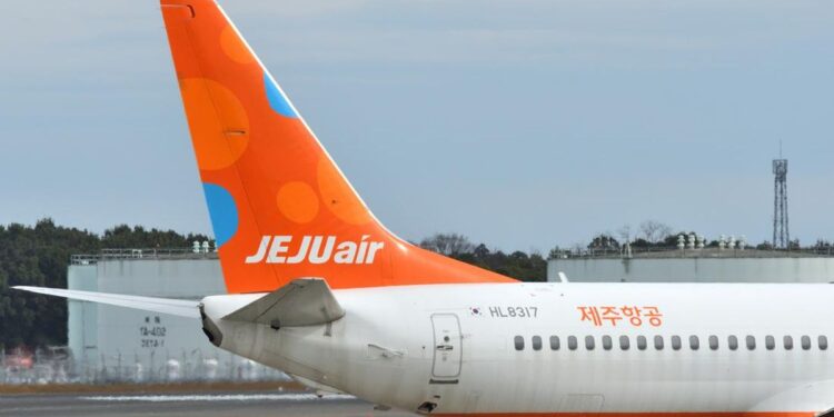 Kecelakaan Pesawat Jeju Air Diduga Akibat Bird Strike, Apakah Itu?