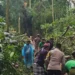 Tragedi di Monkey Forest Bali, Dua Wisatawan Asing Meninggal Tertimpa Pohon