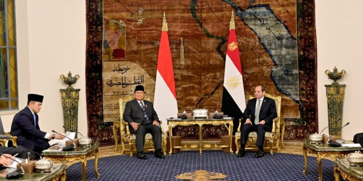 Apa Tujuan KTT D-8 yang Dihadiri Prabowo di Mesir dan Bagaimana Kepemimpinan Indonesia di Sana?