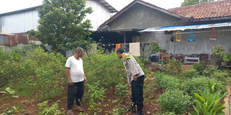 Dukung Ketahanan Pangan, Polsek Ciputat Timur Tinjau Lahan di Kelurahan Sawah