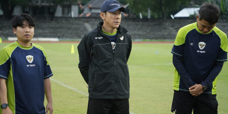 shin tae yong