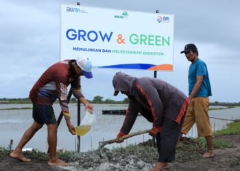 BRI Menanam-Grow & Green, Upaya Nyata BRI Bantu Pulihkan Ekosistem Lingkungan dan Dorong Pemberdayaan Ekonomi Masyarakat