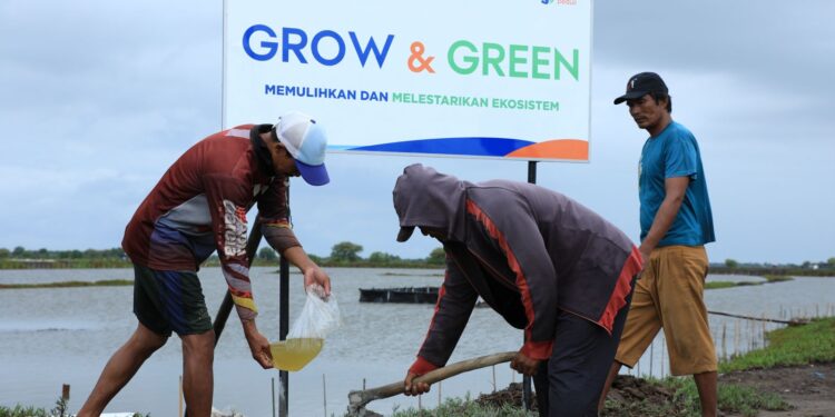 BRI Menanam-Grow & Green, Upaya Nyata BRI Bantu Pulihkan Ekosistem Lingkungan dan Dorong Pemberdayaan Ekonomi Masyarakat