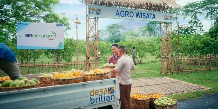 Dorong Ekonomi Kerakyatan yang Inklusif, Ini 10 Bukti Nyata Kontribusi BRI untuk Negeri