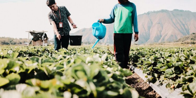 Terdepan dalam Praktik Sustainable Finance, BRI Menjadi Satu-satunya BUMN Penerbit Obligasi Hijau di Tahun 2024