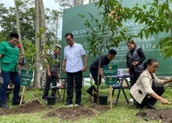 Tanam Pohon Bersama Sultan HB X, Addin: Kolaborasi Pemuda Selamatkan Bumi dari Krisis Air