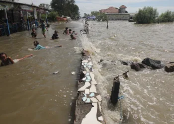 Waspada, BMKG Sebut 14 Wilayah Pesisir Ini Potensi Terjadi Banjir Rob hingga 21 Januari