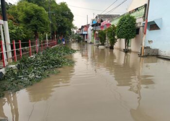 Banjir Ikut Menerjang Bekasi, Diduga Ada Buaya Masuk ke Rumah Warga