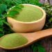 daun kelor