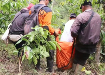 dimakan harimau