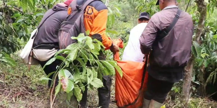 dimakan harimau