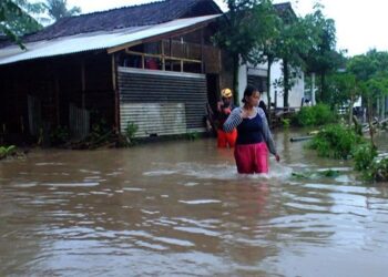Hujan Deras Melanda Jember Jawa Timur, Ratusan Rumah dan Mobil Terendam Banjir