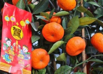 Pembawa Keberuntungan di Tahun Baru Imlek 2025 Konon Ada di Enam Buah Ini, Anda Suka yang Mana?