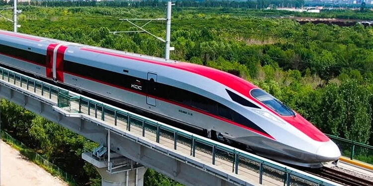 ODGJ Masuk Jalur dan Ganggu Perjalanan Whoosh, KCIC: Diduga Lewat Saluran Air