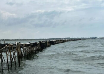 Penjabat Gubernur Dukung Pemerintah Bongkar Pagar Laut di Tangerang