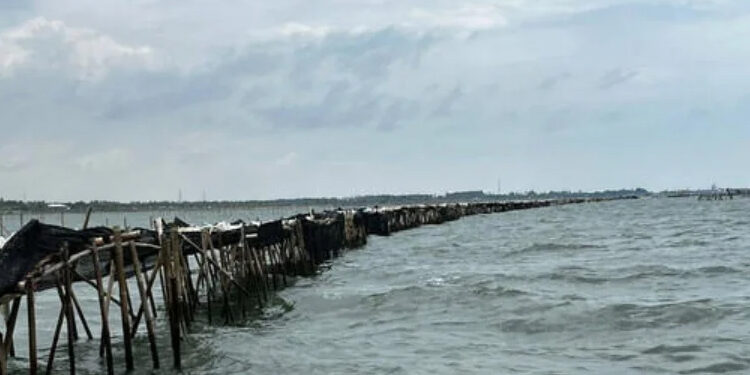 Penjabat Gubernur Dukung Pemerintah Bongkar Pagar Laut di Tangerang