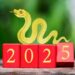 Ramalan di 2025, Cek Keberuntungan Shio Kamu!