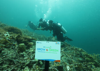 BRI Menanam-Grow & Green Bangun Kesadaran Jaga Kelestarian Ekosistem Laut dan Tingkatkan Pendapatan Nelayan