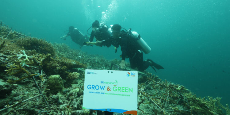 BRI Menanam-Grow & Green Bangun Kesadaran Jaga Kelestarian Ekosistem Laut dan Tingkatkan Pendapatan Nelayan