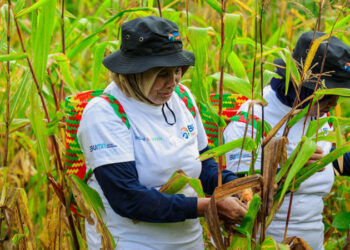 Program BRI Menanam-Grow & Green di Kaltim Serap Karbon dan Dorong Ekonomi Masyarakat