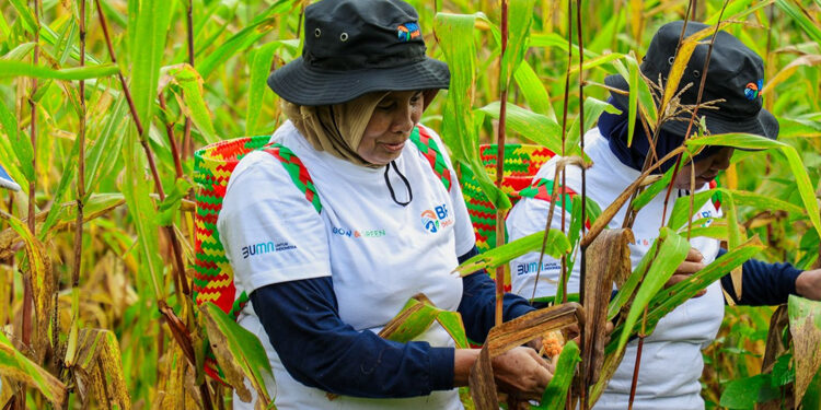 Program BRI Menanam-Grow & Green di Kaltim Serap Karbon dan Dorong Ekonomi Masyarakat