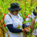 Program BRI Menanam-Grow & Green di Kaltim Serap Karbon dan Dorong Ekonomi Masyarakat