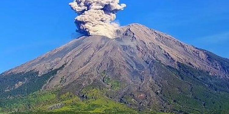 Gunung Semeru Erupsi Lagi, Tinggi Letusan Capai 700 Meter