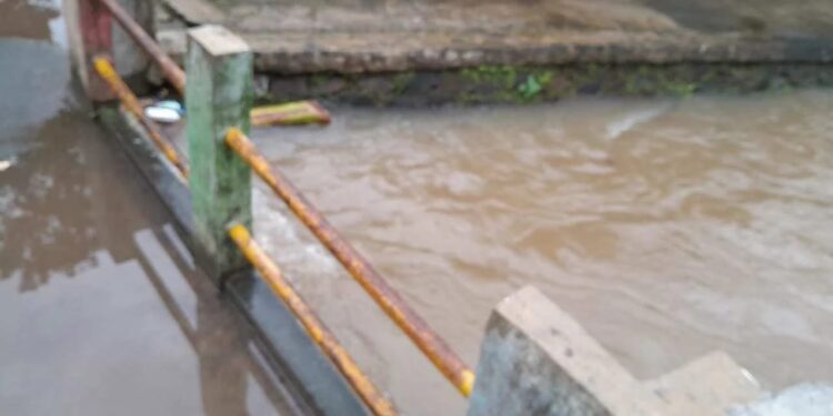 Diterjang Banjir, Warga Komplek Inhutani Ciputat Keluhkan Tak Ada Resapan Air