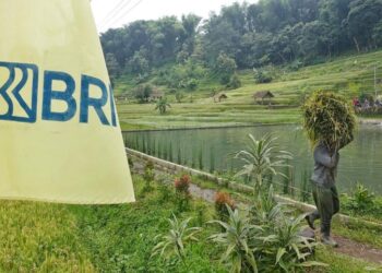 BRI Komitmen Terapkan Prinsip ESG untuk Bisnis Berkelanjutan