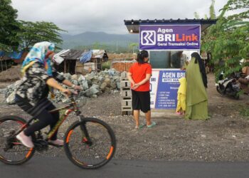 AgenBRILink