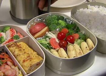 Mau Mudik? Jangan Lupa Siapkan Bekal Makanan Sehat Ini