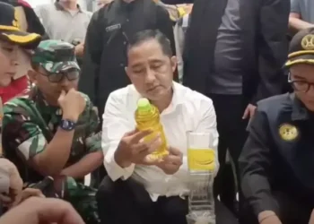 Wakil Wali Kota Depok Chandra Rahmansyah