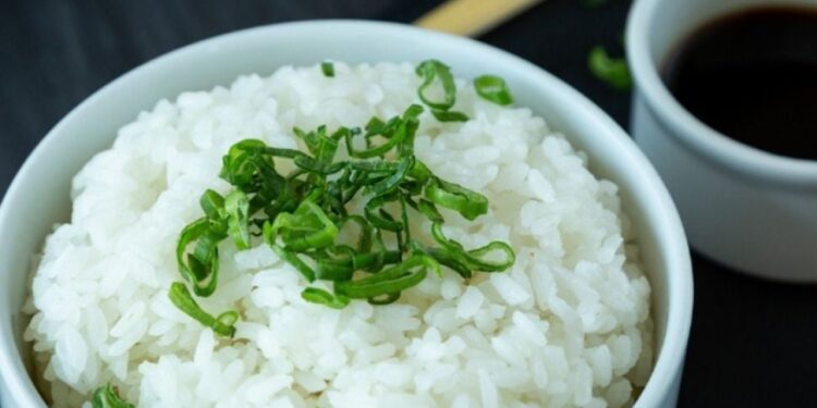 Konsumsi Nasi Porang saat Sahur, Dijamin Perut Kenyang Lebih Lama