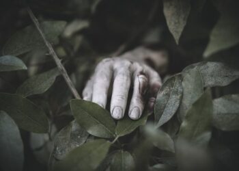 Diduga Korban Perampokan, Pengemudi Ojol Ditemukan Tewas di Kebun Karet