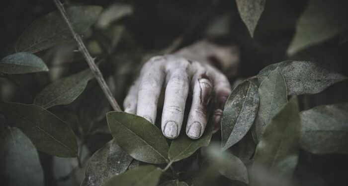 Diduga Korban Perampokan, Pengemudi Ojol Ditemukan Tewas di Kebun Karet