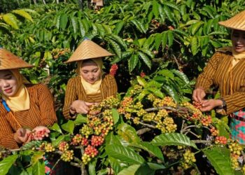 Berdayakan 14 Juta Pengusaha Wanita, BRI Tegaskan Komitmen Ciptakan Ekonomi Inklusif dan Kesetaraan Gender di Hari Kartini