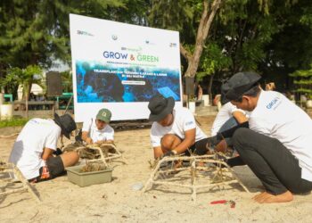 BRI Menanam “Grow & Green” Transplantasi Terumbu Karang, Jadi Ujung Tombak Pelestarian Ekosistem Laut di NTB