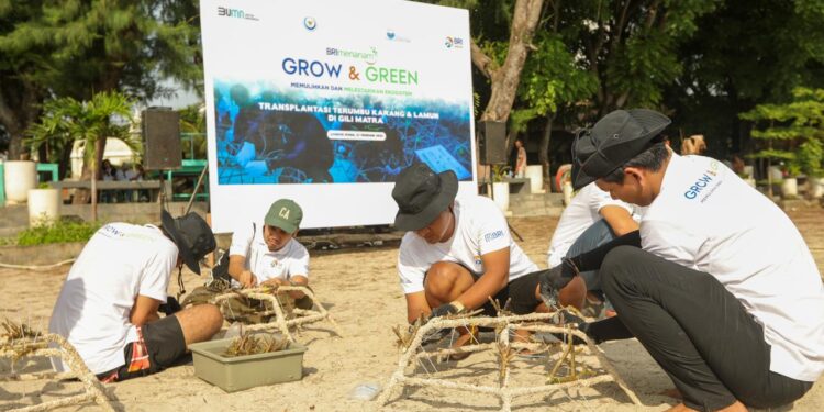 BRI Menanam “Grow & Green” Transplantasi Terumbu Karang, Jadi Ujung Tombak Pelestarian Ekosistem Laut di NTB