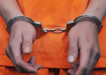 Miris! Mahasiswa Ditangkap Usai Ketahuan Menanam Ganja di Kamarnya