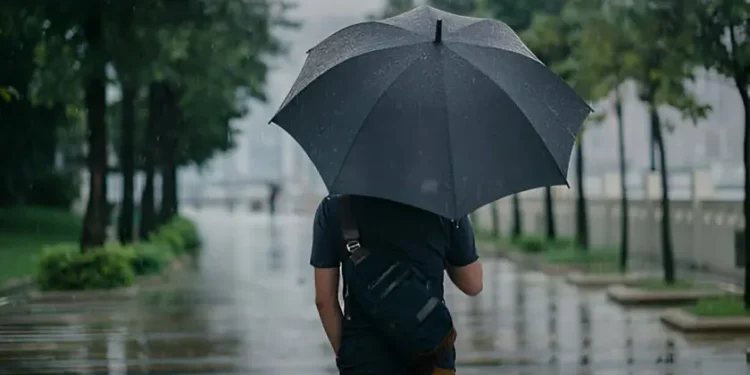BMKG: Jangan Lupa Bawa Payung, Hari Ini Hujan Ringan di Sejumlah Wilayah Jakarta
