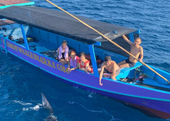 Disway: Labuhan Jambu