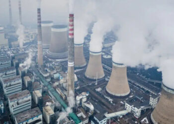 Disway: Balik Kucing