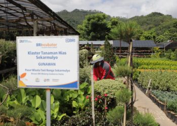 Terbesar di Indonesia, Portofolio Sustainable Finance BRI Tembus Rp796 Triliun