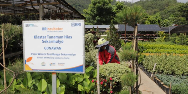 Terbesar di Indonesia, Portofolio Sustainable Finance BRI Tembus Rp796 Triliun