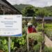 Terbesar di Indonesia, Portofolio Sustainable Finance BRI Tembus Rp796 Triliun