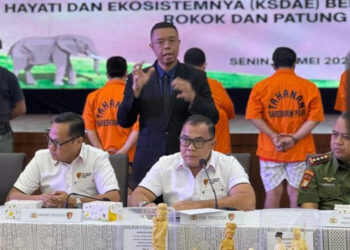 Bareskrim Polri Bongkar Perdagangan Gading Gajah Ilegal di Medsos