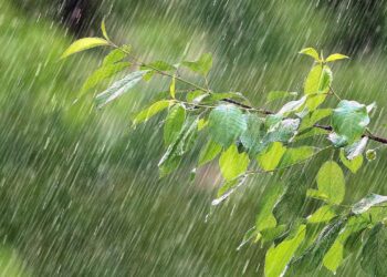 Siap-Siap Basah, BMKG: Jakarta Berpotensi Diguyur Hujan Sepanjang Hari