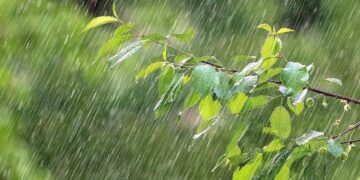 Siap-Siap Basah, BMKG: Jakarta Berpotensi Diguyur Hujan Sepanjang Hari